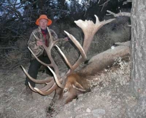 2007 elk auction winner Tod Reichert, San Mateo Mtns. SCI World Record 437 5/8. (Photo: Courtesy Tod Reichert)