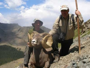 This Wheeler Peak ram was taken by 2009 auction winner Peter Kaindl. (Photo: Courtesy of Peter Kaindl)