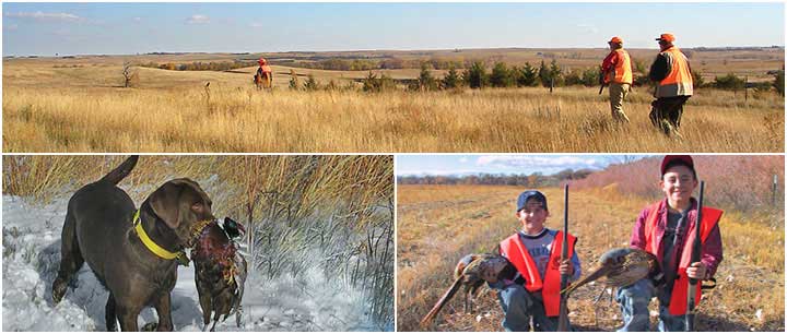 Upland game - Photos of Men, Youth, and Dogs during pheasant, quail hunting (New Mexico Department of Game and Fish) 