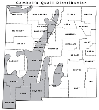 Gambel's quail distribution map - (Hunting upland game, New Mexico Department of Game and Fish)