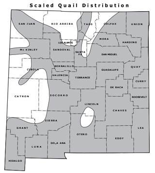 Scaled quail distribution map - (Hunting upland game, New Mexico Department of Game and Fish)