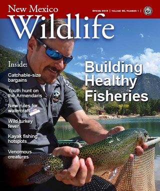 Building Healthier Fisheries, Eagle Rock Lake, New Mexico Wildlife Spring 2016, Vol 59 Num 1