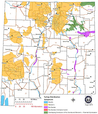 New Mexico Turkey Hunting Map