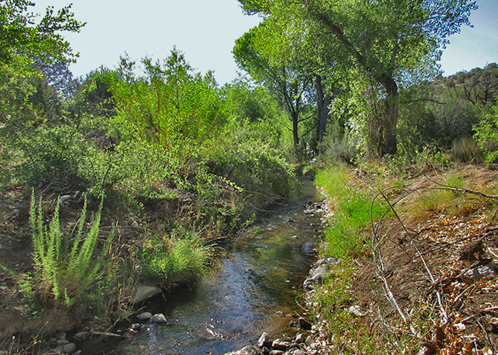 Share with Wildlife – Project Highlight: Detecting Fish Using Water Samples