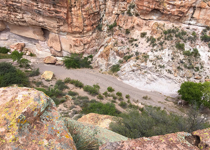 Share with Wildlife, New Mexico – Project Highlight: Gila Monsters – Enough Said!