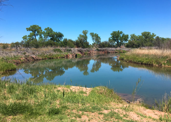 Share with Wildlife, New Mexico – Project Highlight: Learning about Water