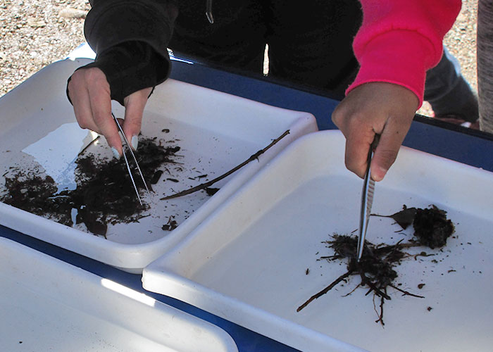 Share with Wildlife, New Mexico – Project Highlight: Reading Your Watershed