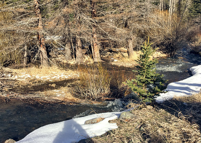 Share with Wildlife, New Mexico – Project Highlight: Reading Your Watershed