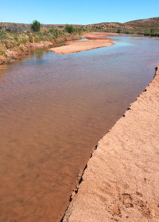 Share with Wildlife, New Mexico – Project Highlight: Tracking Elusive Fish