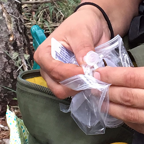 Share with Wildlife – Project Highlight: Tracking Divergence Between Salamander Populations