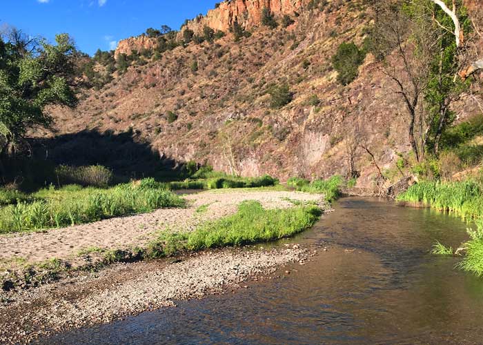 Project Highlight: Give the Toads a Brake (Share with Wildlife, New Mexico Department of Game and Fish)