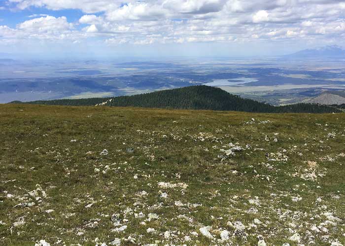 Share with Wildlife, New Mexico – Project Highlight: Surveying for Rare Birds in High Places