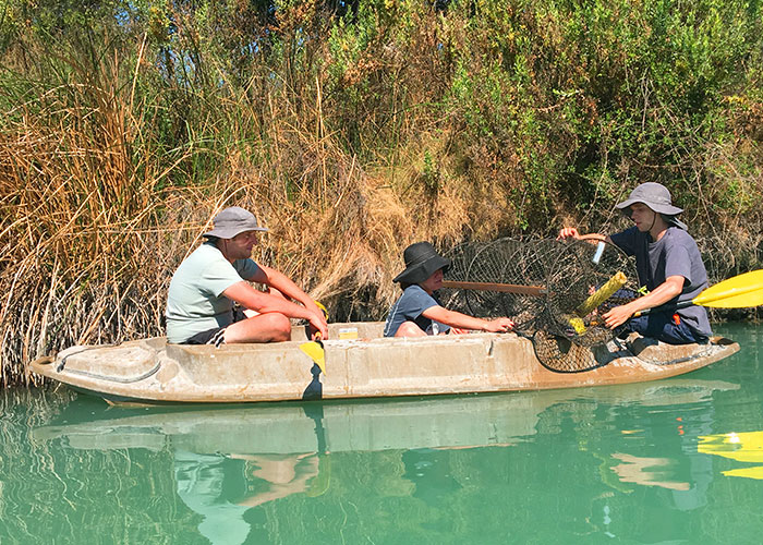 Share with Wildlife, New Mexico – Project Highlight: Tracking Turtle Survival