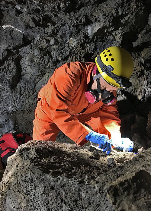 Share with Wildlife, New Mexico – Project Highlight: Searching for a Deadly Pathogen