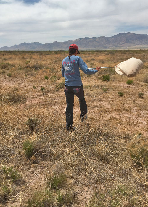 Share with Wildlife, New Mexico – Project Highlight: Finding a Needle in a Haystack