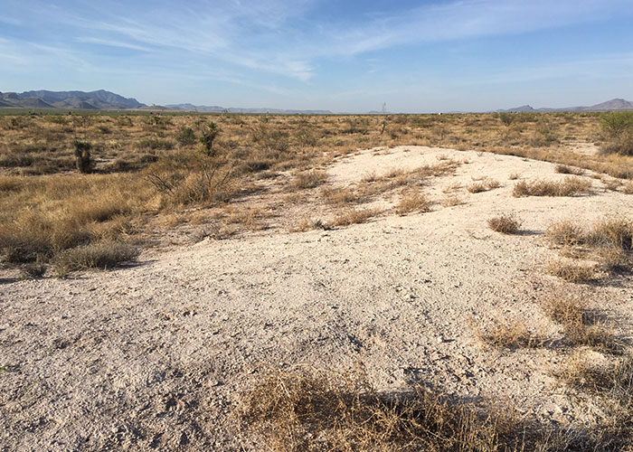 Share with Wildlife, New Mexico – Project Highlight: Finding a Needle in a Haystack