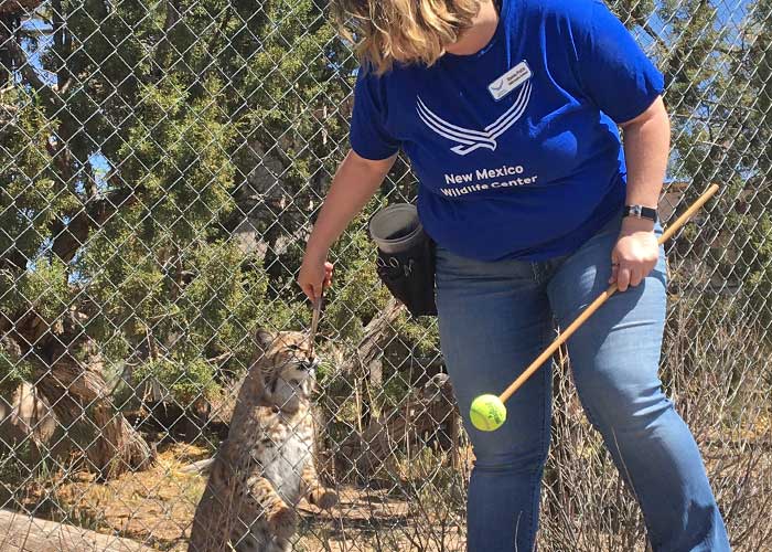 Share with Wildlife, New Mexico – Project Highlight: Wildlife Education and Rehabilitation