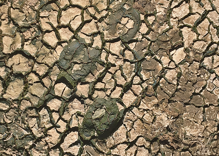 Engaging Students in Studying Wildlife Along New Mexico Rivers- Project Highlight- Share with Wildlife, New Mexico Department of Game and Fish