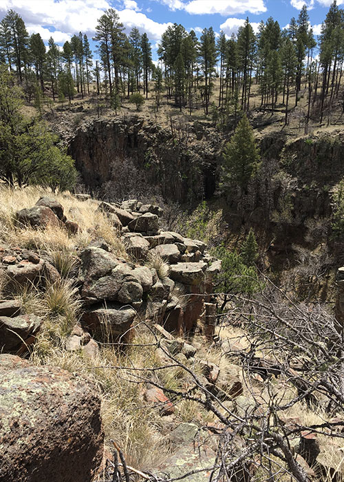 Tracking a Rare Snake Project Highlight- Share with Wildlife, New Mexico Department of Game and Fish