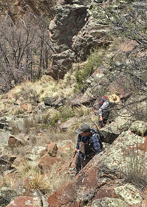 Tracking a Rare Snake Project Highlight- Share with Wildlife, New Mexico Department of Game and Fish