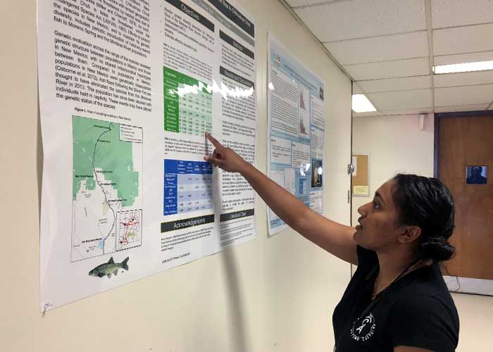 Evaluating Genetic Health of Chihuahua Chub in the Mimbres River Basin Project Highlight- Share with Wildlife, New Mexico Department of Game and Fish