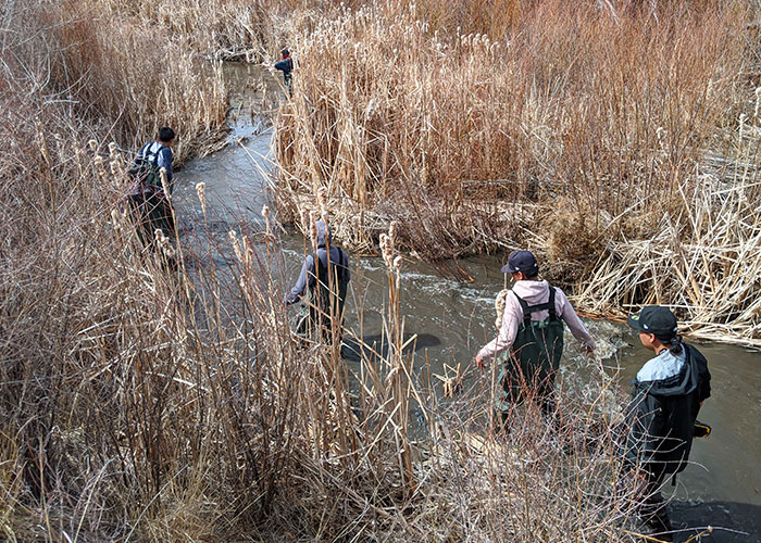 Engaging Students in Studying Wildlife in the Face of COVID-19, New Mexico Department of Game and Fish