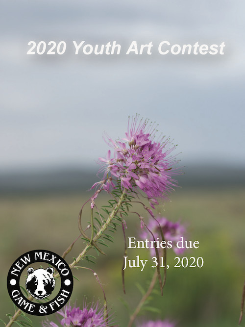 2020 Youth Art Contest New Mexico Department of Game and Fish