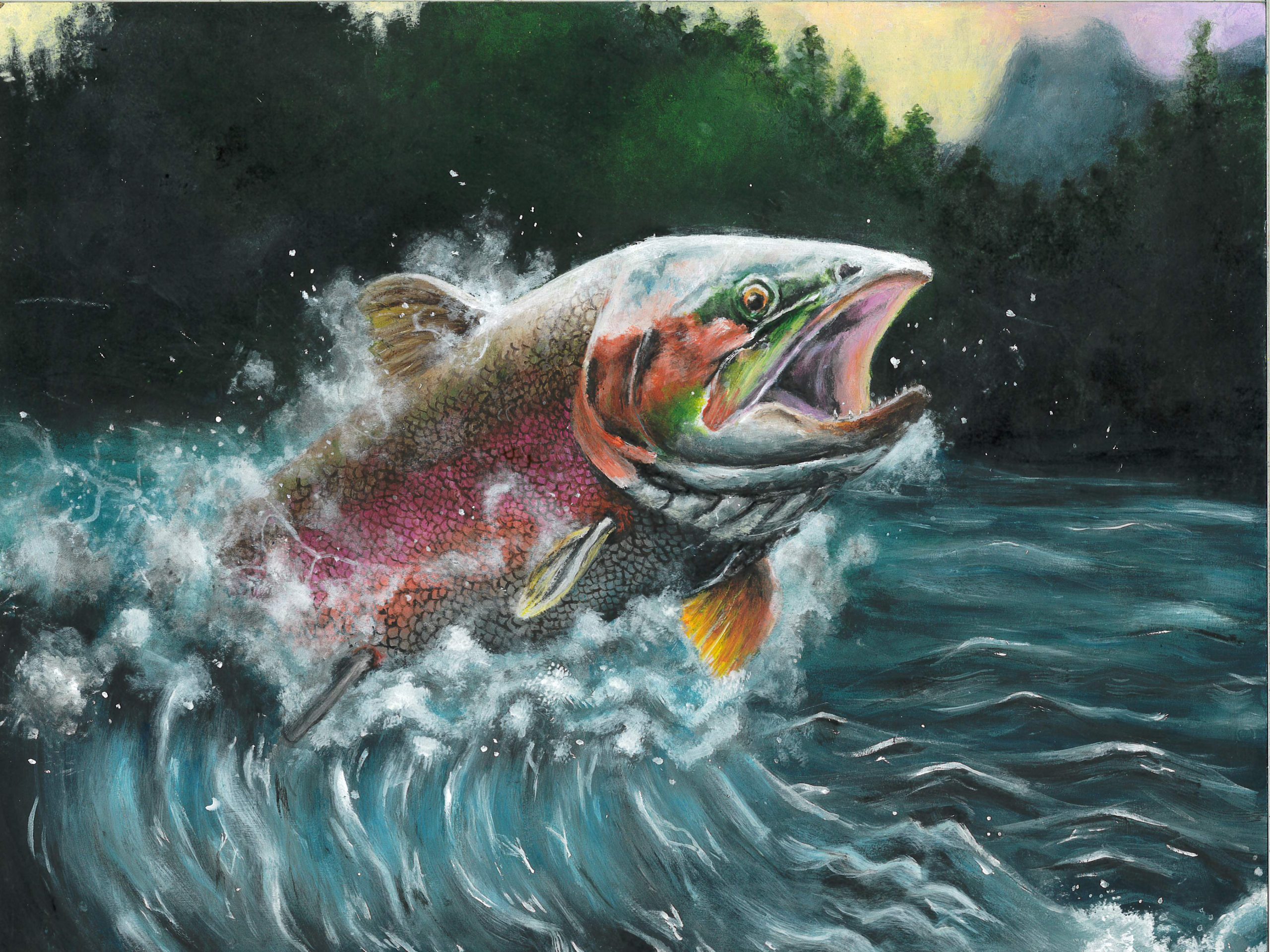 AZ Joanna Wang Rainbow Trout