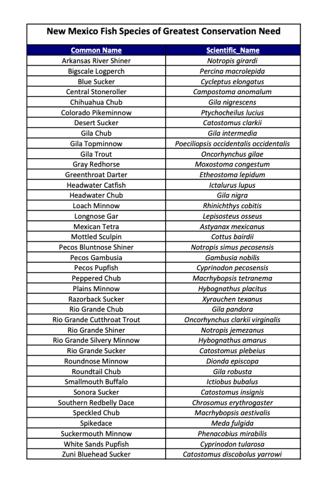 Fish list for art contest