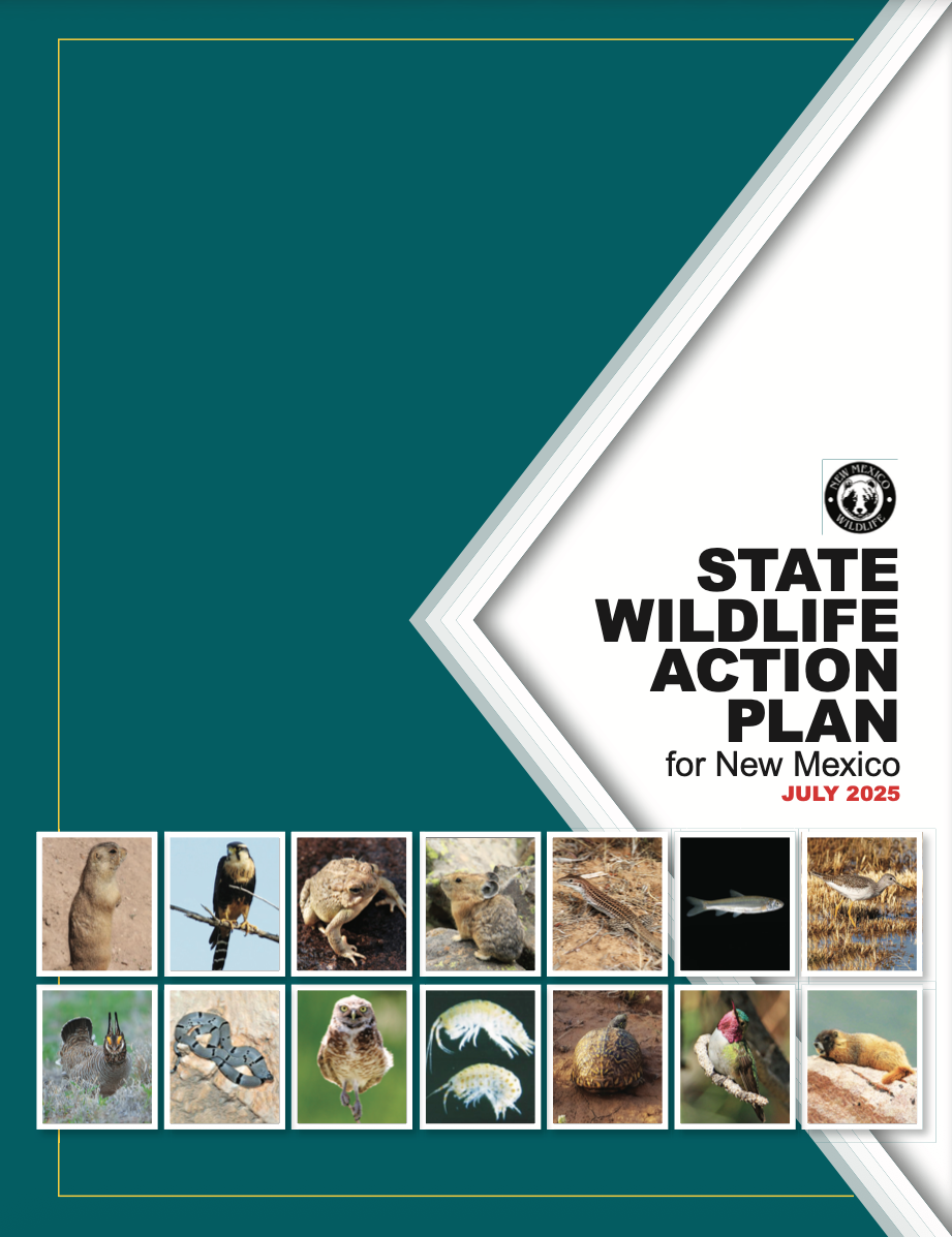State Wildlife Action Plan 2025