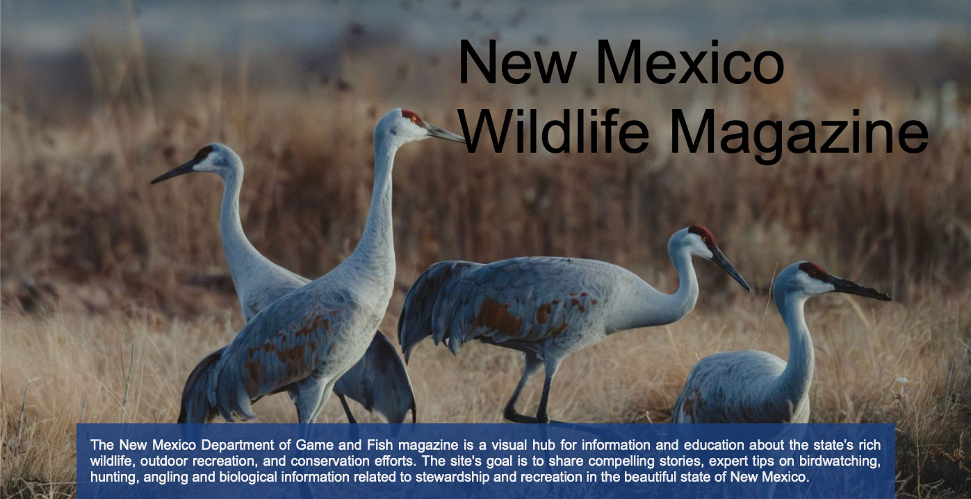 New Mexico Wildlife - NMDGF magazine now available online - wildlife.dgf.nm.gov/home/publications/magazine