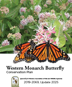 WAFWA Western Monarch Butterfly Conservation Plan 2025 Update
