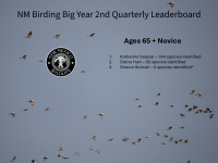Slide thumbnail