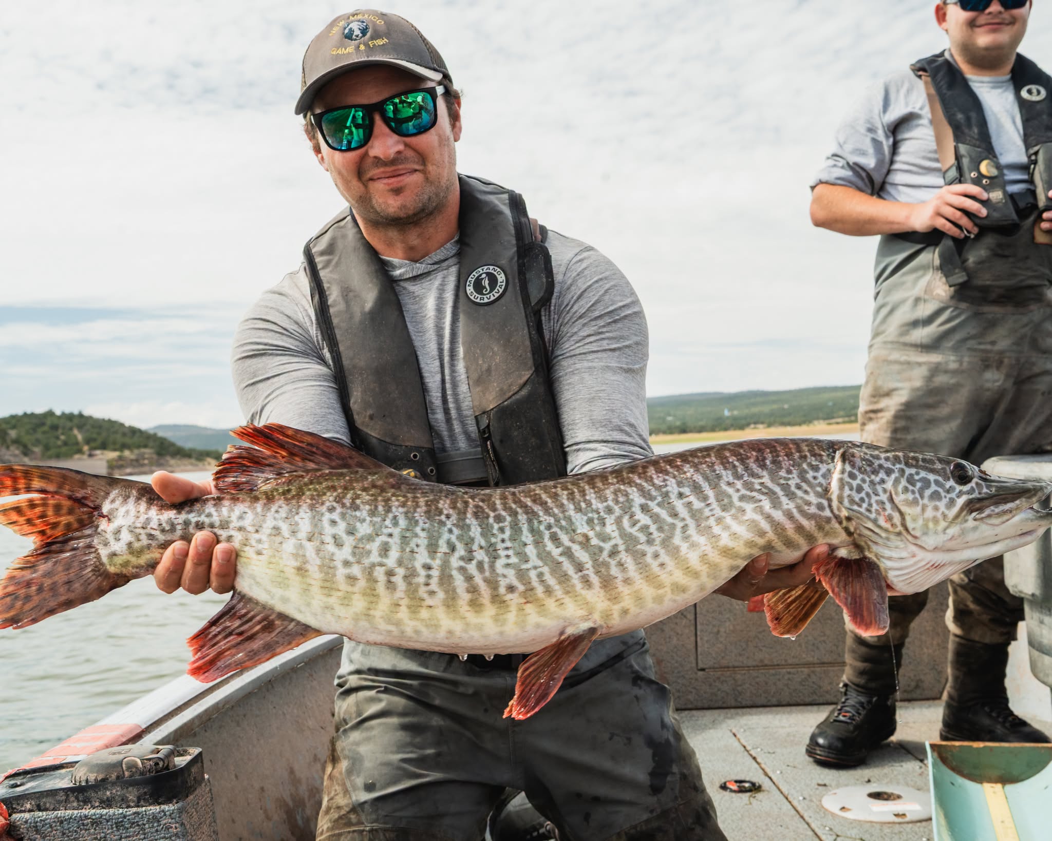 Large tiger muskie