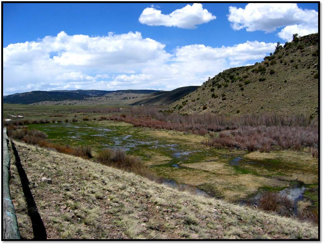 Stewart Meadows