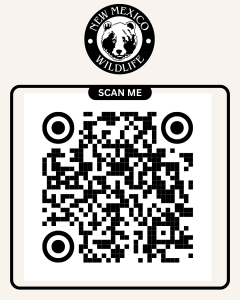 QR Code to View and Apply for Job Online