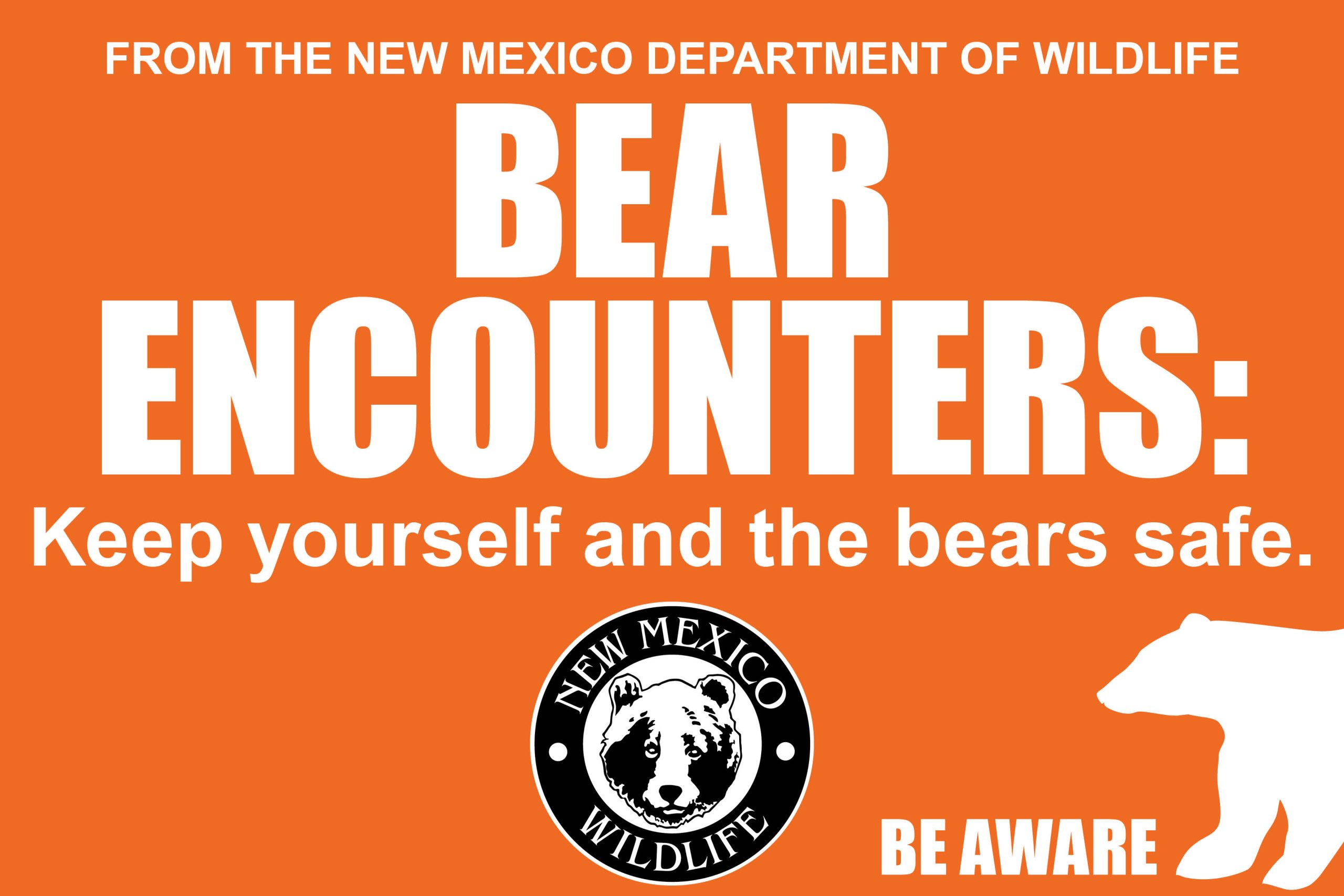 Bear encounters keep yourself and the bears safe