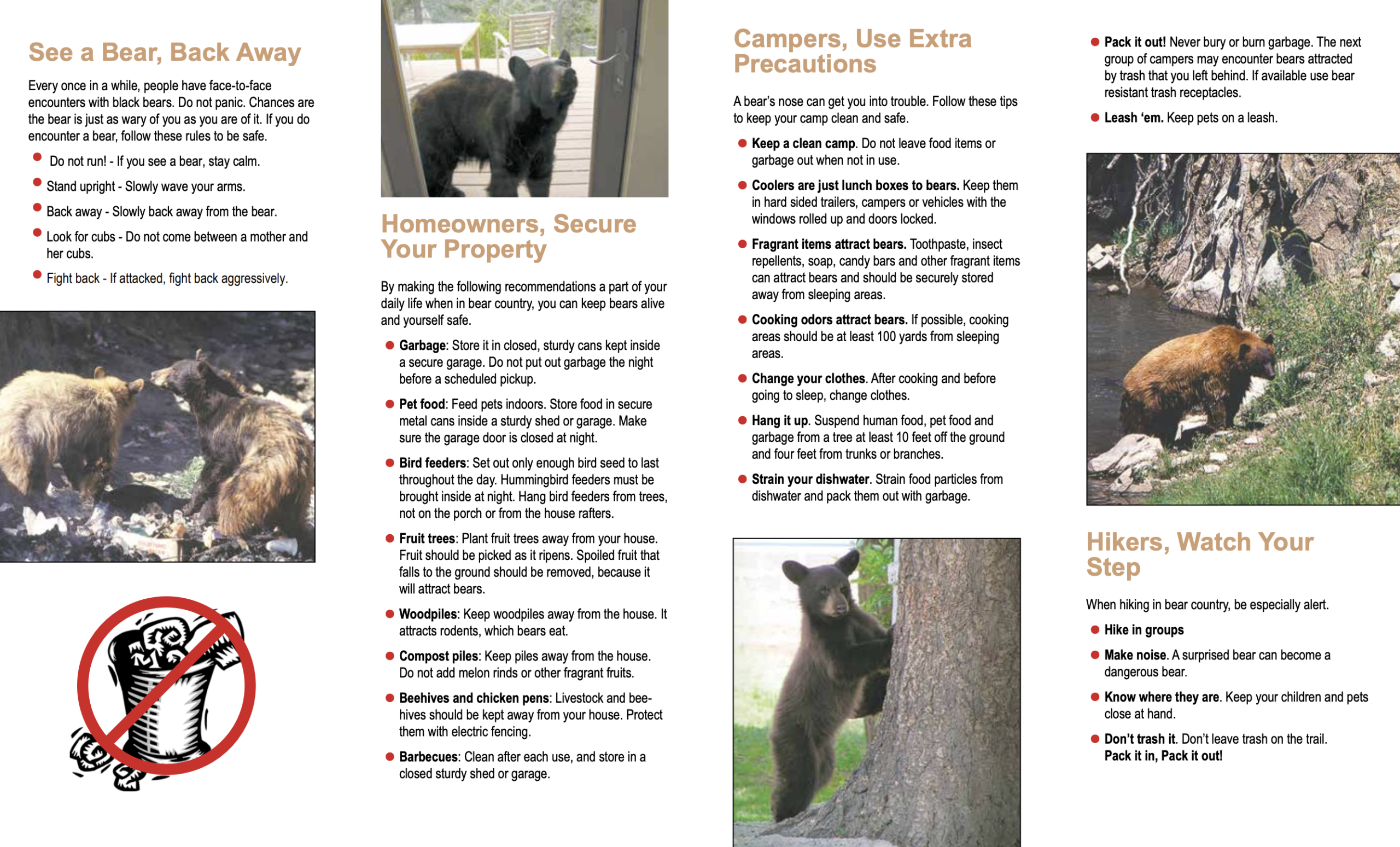 Keeping Bears and You Safe Page 2