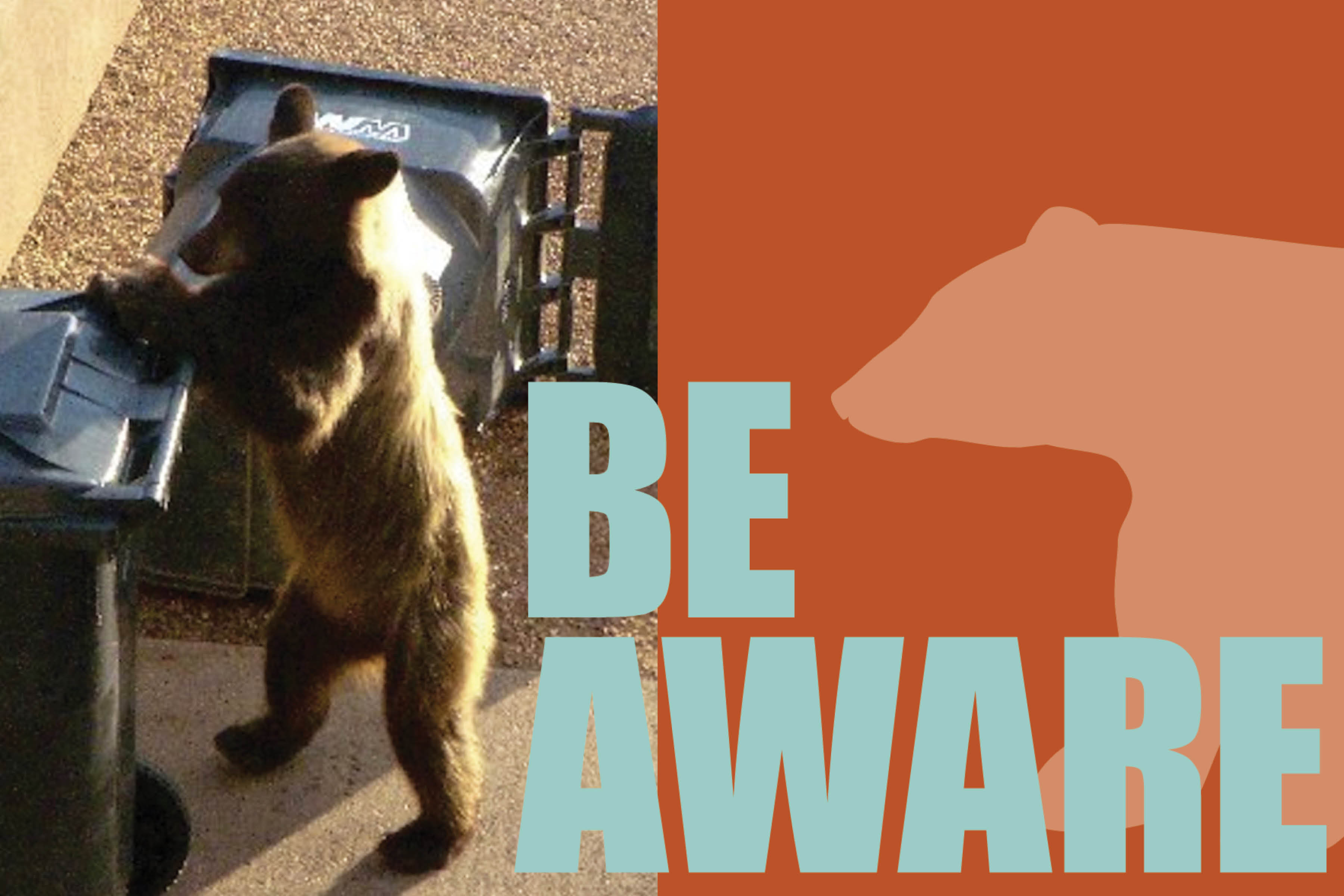 Untitled – August 17, 2026 at 13.42.55 (6) Bear near trash cans