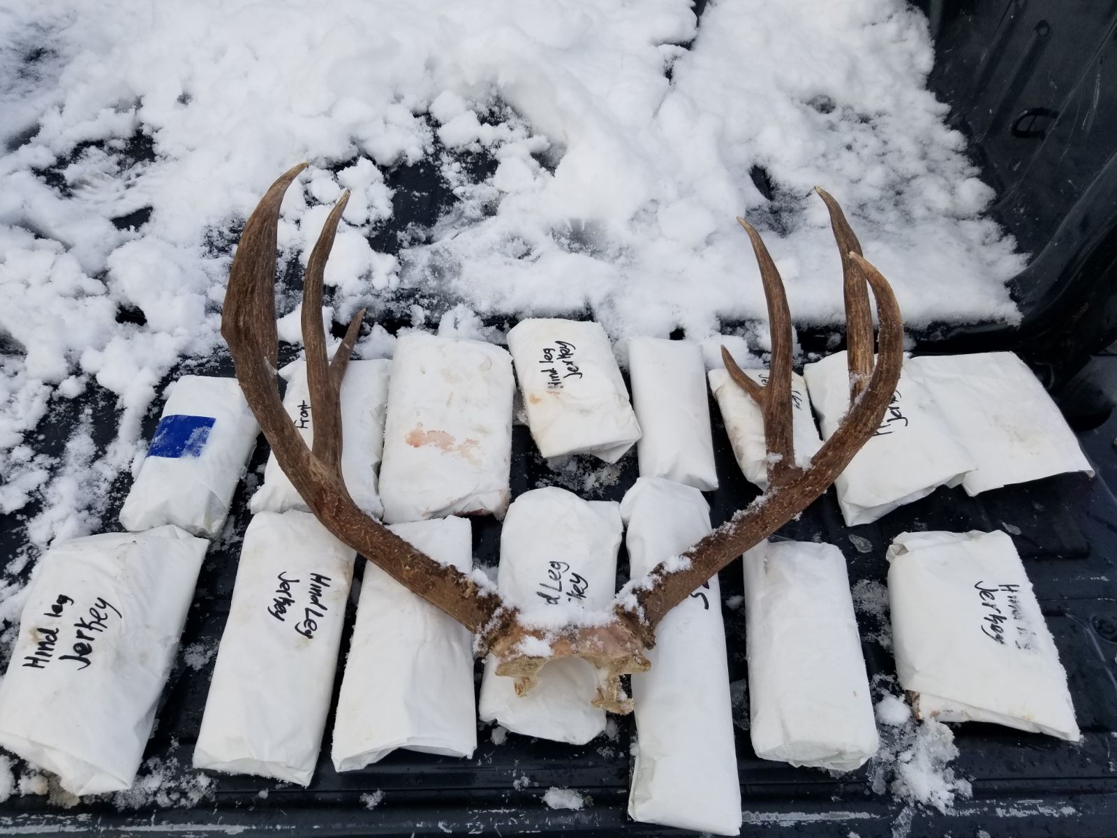 OODA2094 Packages of poached deer meat and deer antlers