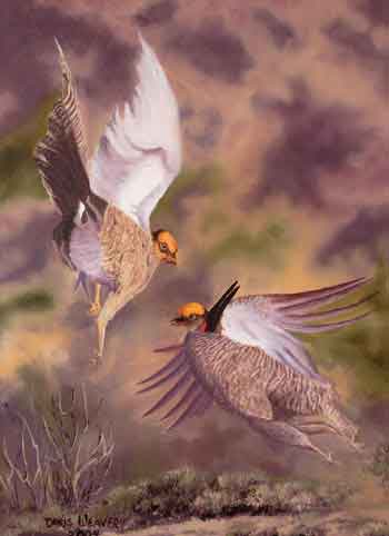 poster - NMDGF Archive News - Glenwood artist wins Lesser Prairie Chicken Festival poster contest 