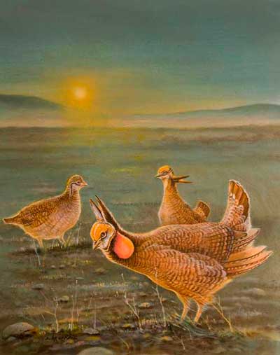 Belen artist Susan Brooke wins Lesser Prairie Chicken Festival poster contest