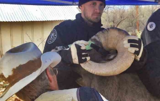 NMDGF Conservation Officer of the Month Keith Haws, February 2016