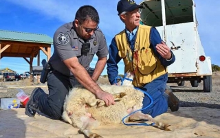 NMDGF Conservation Officer of the Month Dominic McCarthy, March 2016