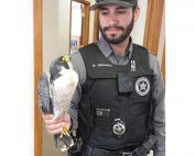 NMDGF Conservation Officer of the Month Matt Ordonez, June 2016