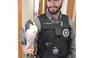 NMDGF Conservation Officer of the Month Matt Ordonez, June 2016