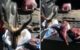 Case of antelope poached in Hidalgo County solved