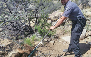 NMDGF Conservation Officer of the Month Matthew Lackey, September 2016