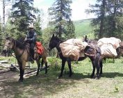 NMDGF Conservation Officer of the Month Tommy Heck, November 2016