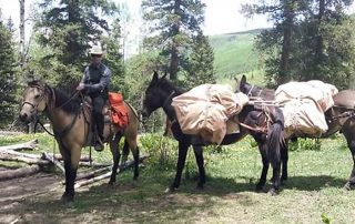 NMDGF Conservation Officer of the Month Tommy Heck, November 2016